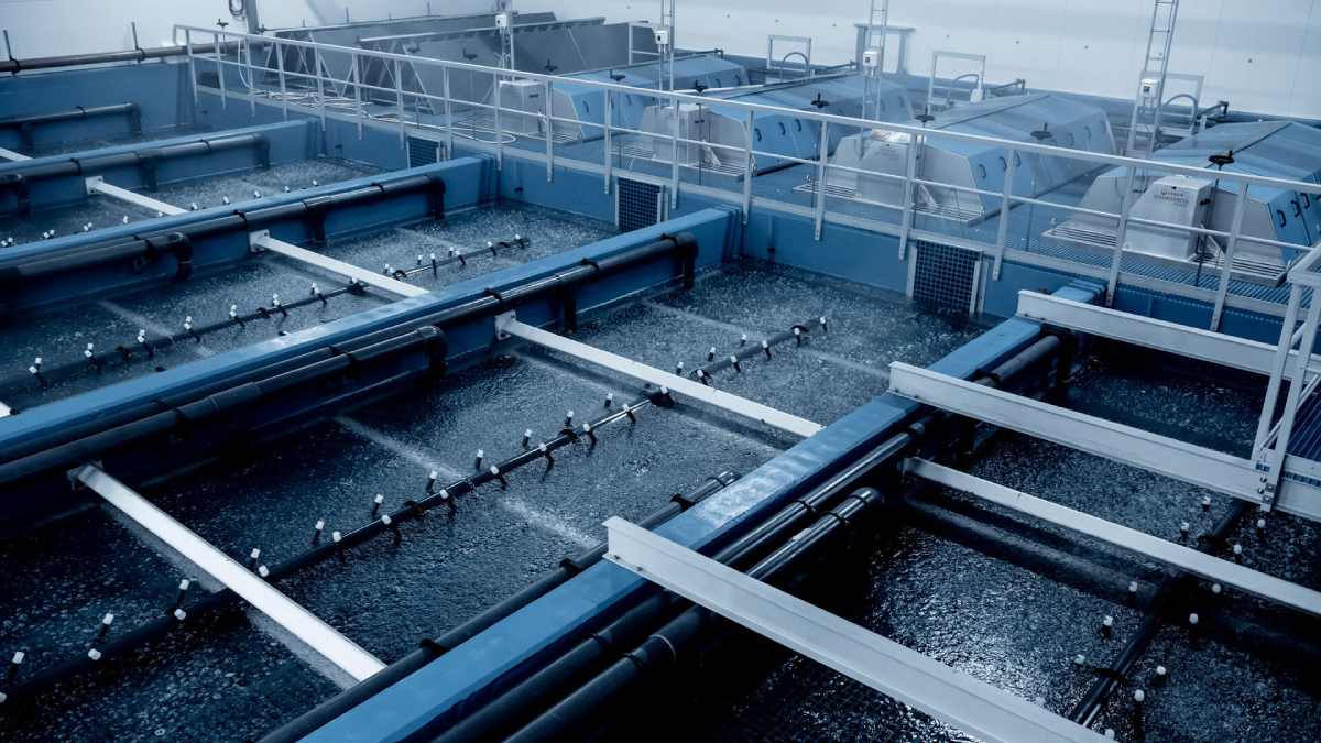 تصفیه زیستی یا فیلتر زیستی یا بیوفیلتر (Biofilter, Biofilteration)