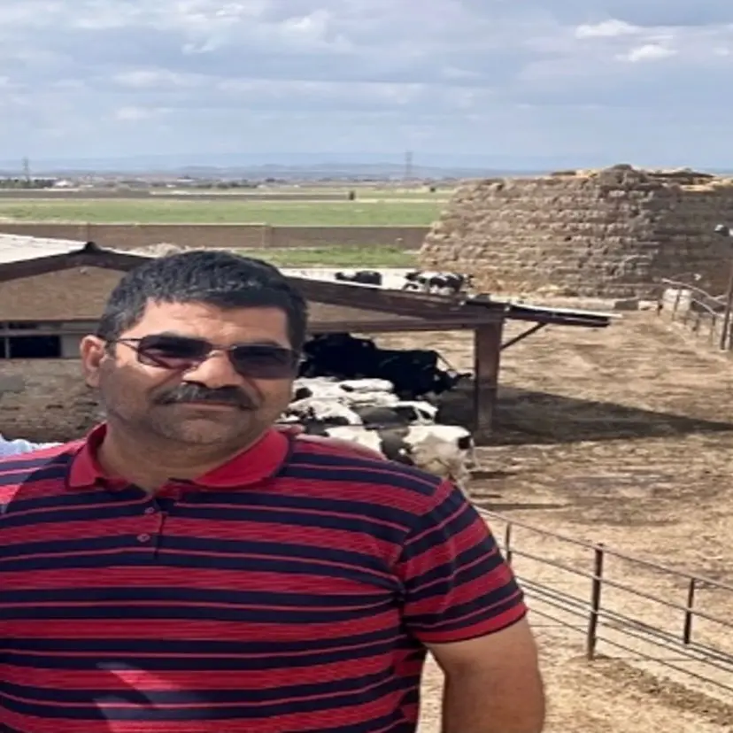 مهندس طالبی