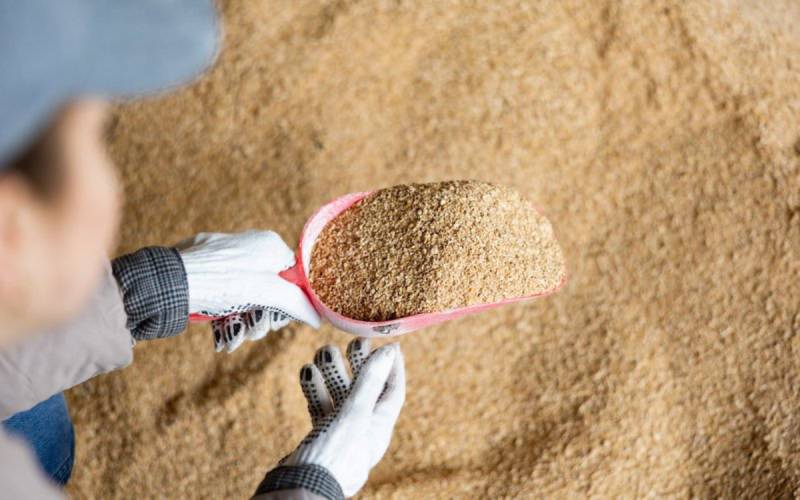 آیا پودر ماهی جایگزینی برای سویا است؟